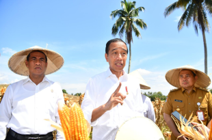 Presiden Jokowi usai meninjau panen raya jagung di Kabupaten Boalemo, Provinsi Gorontalo pada Senin, 22 April 2024.